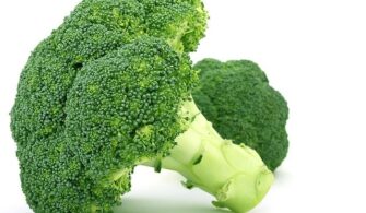brokoli fiyatları